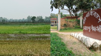BSF pushes 20 more into Bangladesh